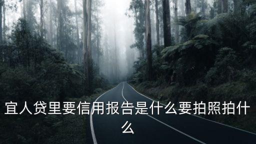 宜人貸里要信用報(bào)告是什么要拍照拍什么