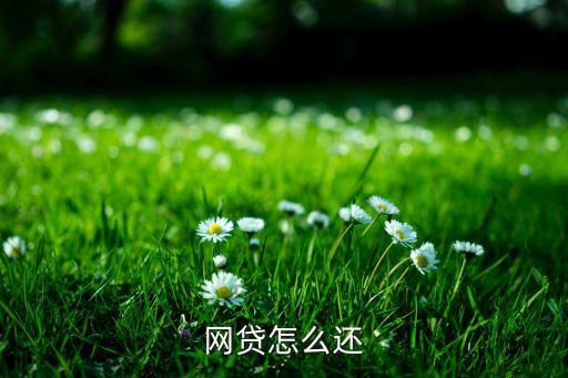 網(wǎng)貸怎么還