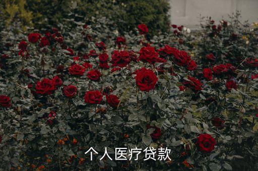 個(gè)人醫(yī)療貸款怎么辦理流程，貸款辦理流程是怎么樣的