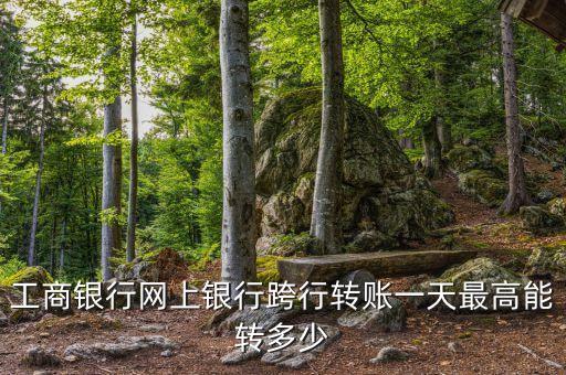 工商銀行網(wǎng)上銀行跨行轉(zhuǎn)賬一天最高能轉(zhuǎn)多少