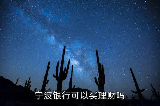 寧波銀行可以買理財(cái)嗎