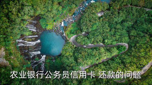農(nóng)行公務(wù)卡怎么還，農(nóng)業(yè)銀行公務(wù)員信用卡 還款的問(wèn)題