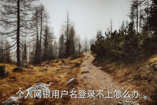 銀行登錄不了怎么辦，網(wǎng)上銀行登錄失敗應(yīng)該怎么處理呢
