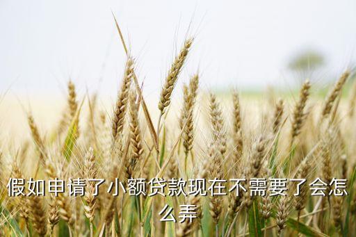 假如申請了小額貸款現(xiàn)在不需要了會怎么弄