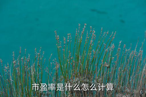 市盈率是什么怎么計算