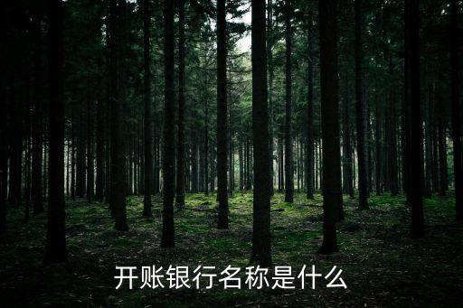 開賬銀行名稱是什么