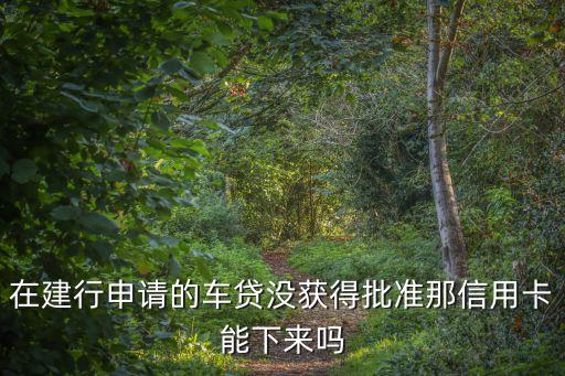 建行貸款沒(méi)通過(guò)怎么辦理信用卡，在建行申請(qǐng)的車(chē)貸沒(méi)獲得批準(zhǔn)那信用卡能下來(lái)嗎