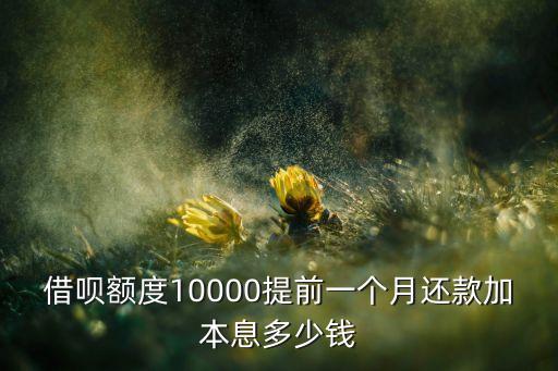 螞蟻借唄提前還款手續(xù)費(fèi)怎么算，借唄額度10000提前一個(gè)月還款加本息多少錢