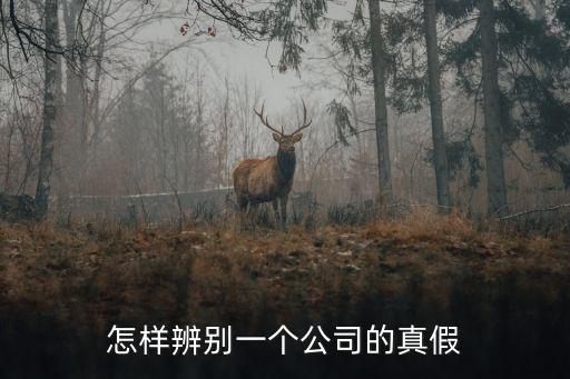 怎樣辨別一個公司的真假