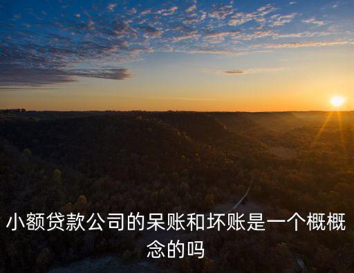 小額貸款公司的呆賬和壞賬是一個概概念的嗎