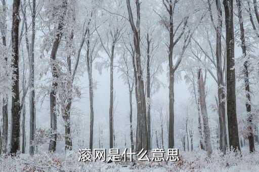 國幣網(wǎng)是怎么回事，每次登錄的時候國幣都會變少是怎么回事