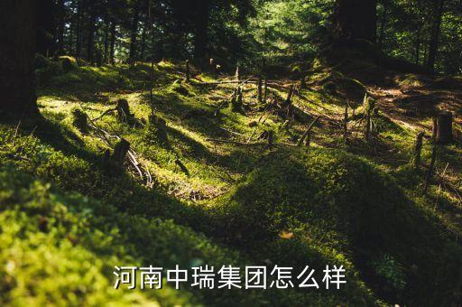 河南中瑞集團(tuán)怎么樣