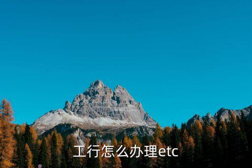 工商銀行上海etc怎么辦理，怎么在工行辦上海ETC儲(chǔ)值卡