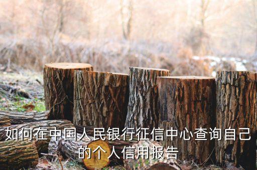 怎么上人行征信系統(tǒng)，如何在中國(guó)人民銀行的網(wǎng)上查詢征信