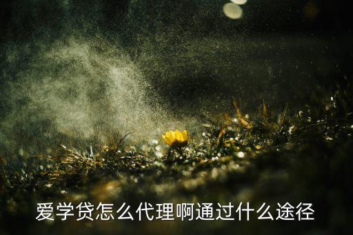 怎么加盟 學生貸，愛學貸怎么代理啊通過什么途徑