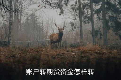 賬戶轉(zhuǎn)期貨資金怎樣轉(zhuǎn)