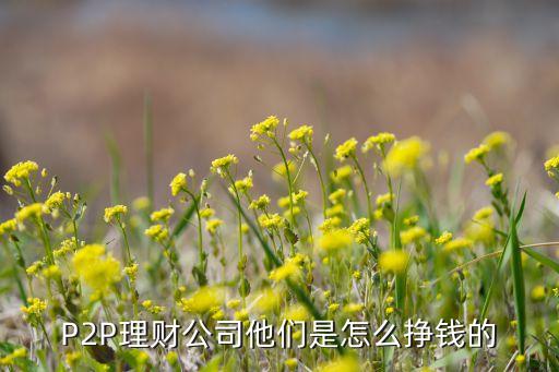 p2p理財公司怎么盈利，p2p理財公司是如何盈利的