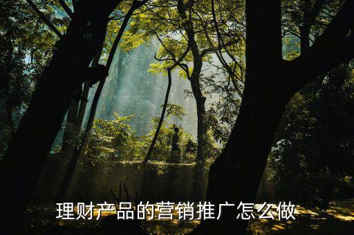 理財產品的營銷推廣怎么做