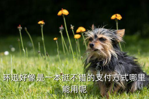 環(huán)迅好像是一本挺不錯(cuò)的支付方式哪里能用呢