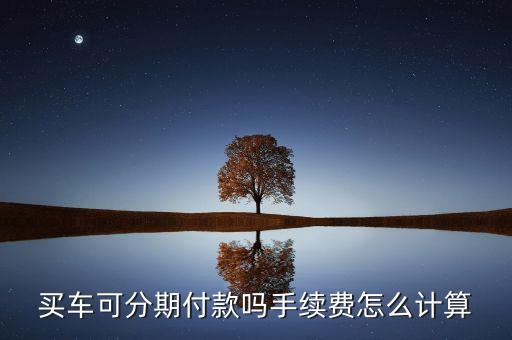 買汽車貸款手續(xù)費(fèi)怎么算的，貸款買車手續(xù)費(fèi)是多少