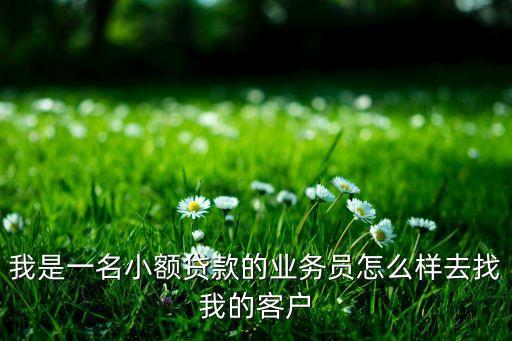 我是一名小額貸款的業(yè)務(wù)員怎么樣去找我的客戶