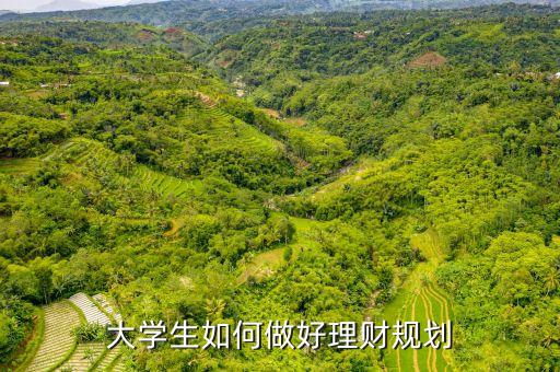 大學生如何做好理財規(guī)劃
