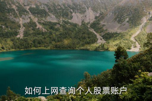 如何上網(wǎng)查詢個人股票賬戶