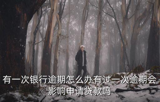有一次銀行逾期怎么辦有過(guò)一次逾期會(huì)影響申請(qǐng)貸款嗎
