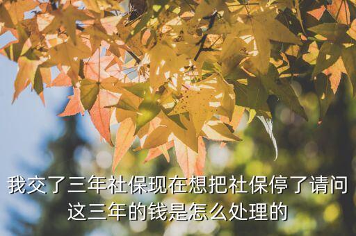 停保險怎么處理，社保被辦停保怎么辦轉(zhuǎn)出
