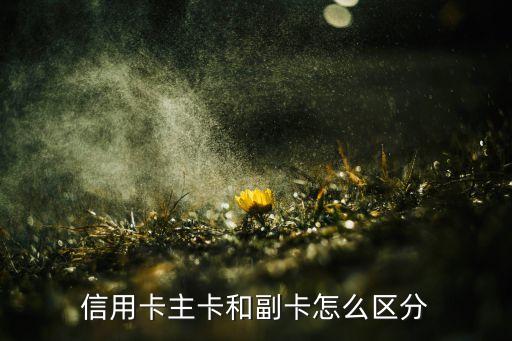 信用卡主卡和副卡怎么區(qū)分