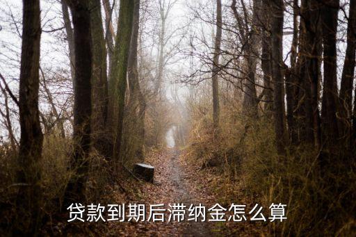 貸款未還滯納金怎么算法，銀行貸款逾期違約金怎么算
