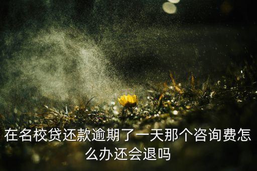 在名校貸還款逾期了一天那個(gè)咨詢費(fèi)怎么辦還會(huì)退嗎