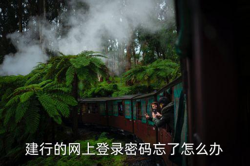 建行的網(wǎng)上登錄密碼忘了怎么辦