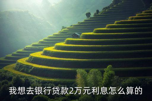 我想去銀行貸款2萬元利息怎么算的