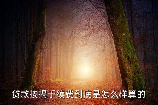 貸款按揭手續(xù)費(fèi)到底是怎么樣算的