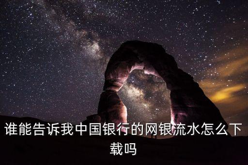 誰能告訴我中國銀行的網銀流水怎么下載嗎