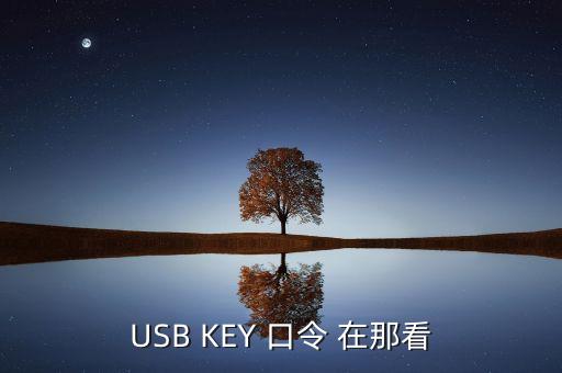 怎么看usbkey密碼是什么，中國銀行網(wǎng)銀轉(zhuǎn)賬的USBkey密碼是什么