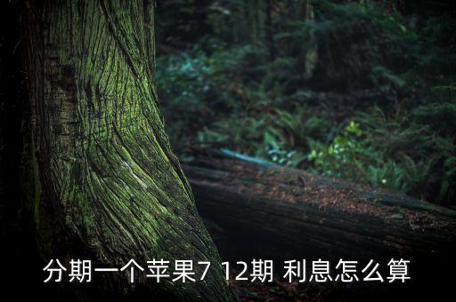 分期一個蘋果7 12期 利息怎么算