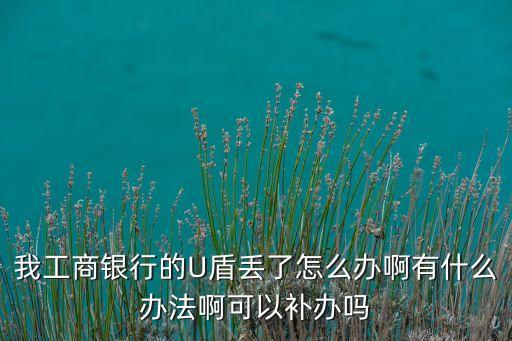 我工商銀行的U盾丟了怎么辦啊有什么辦法啊可以補辦嗎