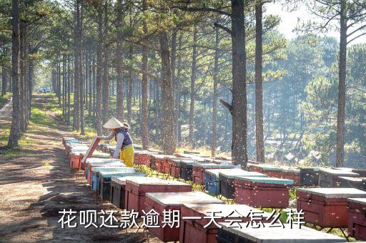 花唄拖欠一天會怎么樣，螞蟻花唄逾期一天會怎么樣