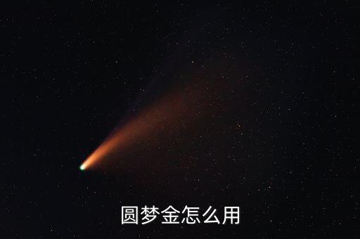 圓夢金怎么用