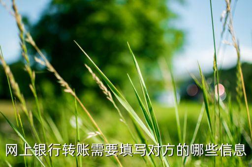 網(wǎng)上銀行轉(zhuǎn)賬需要填寫對方的哪些信息