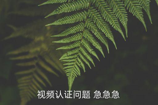 網(wǎng)貸視頻認(rèn)證怎么失敗，視頻認(rèn)證出問(wèn)題