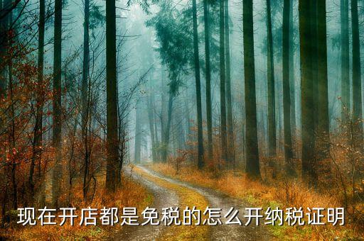 個體戶怎么開納稅證明，個體戶免稅了怎么開納稅證明