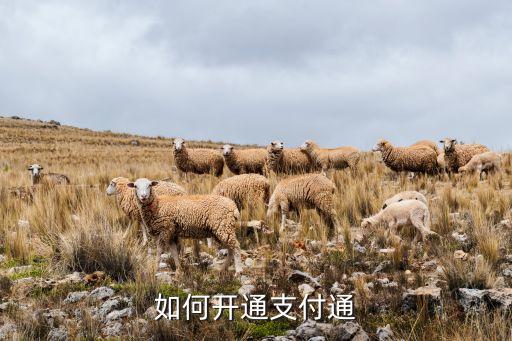 如何開通支付通