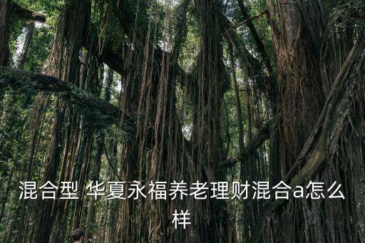 混合型 華夏永福養(yǎng)老理財(cái)混合a怎么樣