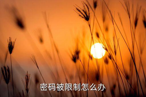 密碼被限制怎么辦