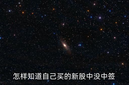 怎樣知道自己買(mǎi)的新股中沒(méi)中簽