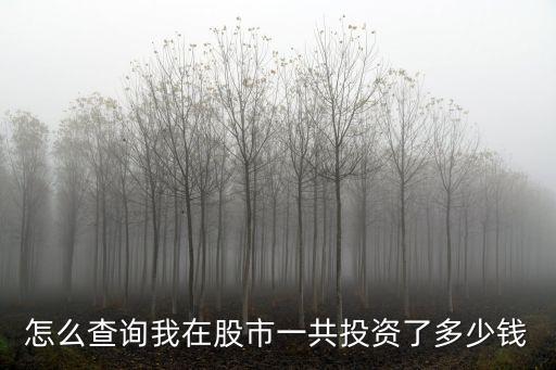 怎么查詢我在股市一共投資了多少錢(qián)