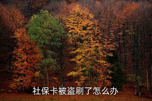 社?？ū槐I用怎么辦，成都社?？吧矸葑C被偷應怎樣辦理